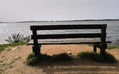 Riserva Naturale del Lago di Fogliano: Un’oasi di serenità a soli 30 km da Terracina – Natural Reserve of Lake Fogliano: An Oasis of Serenity Just 30 km from Terracina
